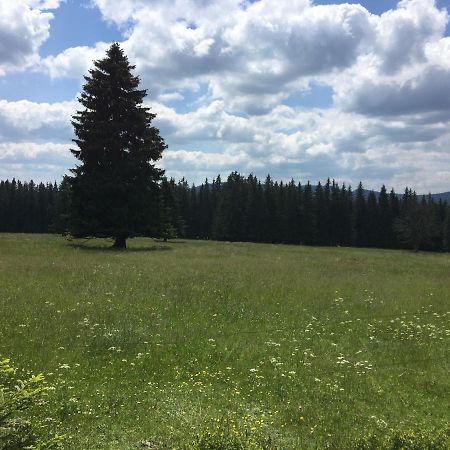 Apartman Kvilda 126 Esterno foto
